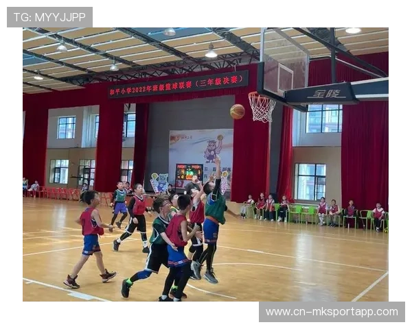 篮球在中国青少年虚拟社交环境中的身份认同建构功能，篮球是社交的手段